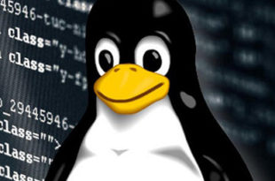 linux day