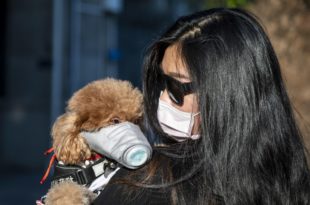 Una ragazza e il suo cane con una mascherina.