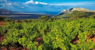 Iniziativa Movimento Turismo del Vino Sardegna (Mtvn)
