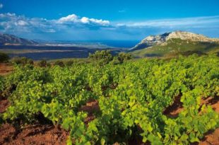 Iniziativa Movimento Turismo del Vino Sardegna (Mtvn)