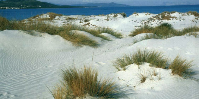 Le dune di Capo comino