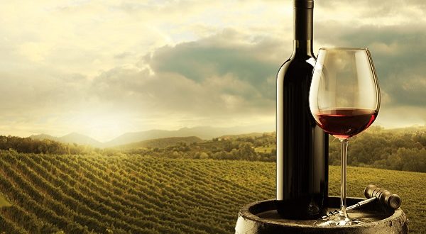Vino Made in Italy, Coldiretti: Sarà un’annata di buona qualità