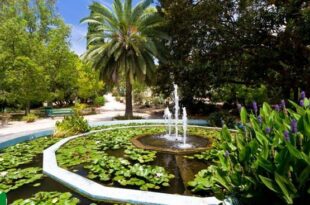 Cagliari, l'Orto Botanico nella top 20 mondiale
