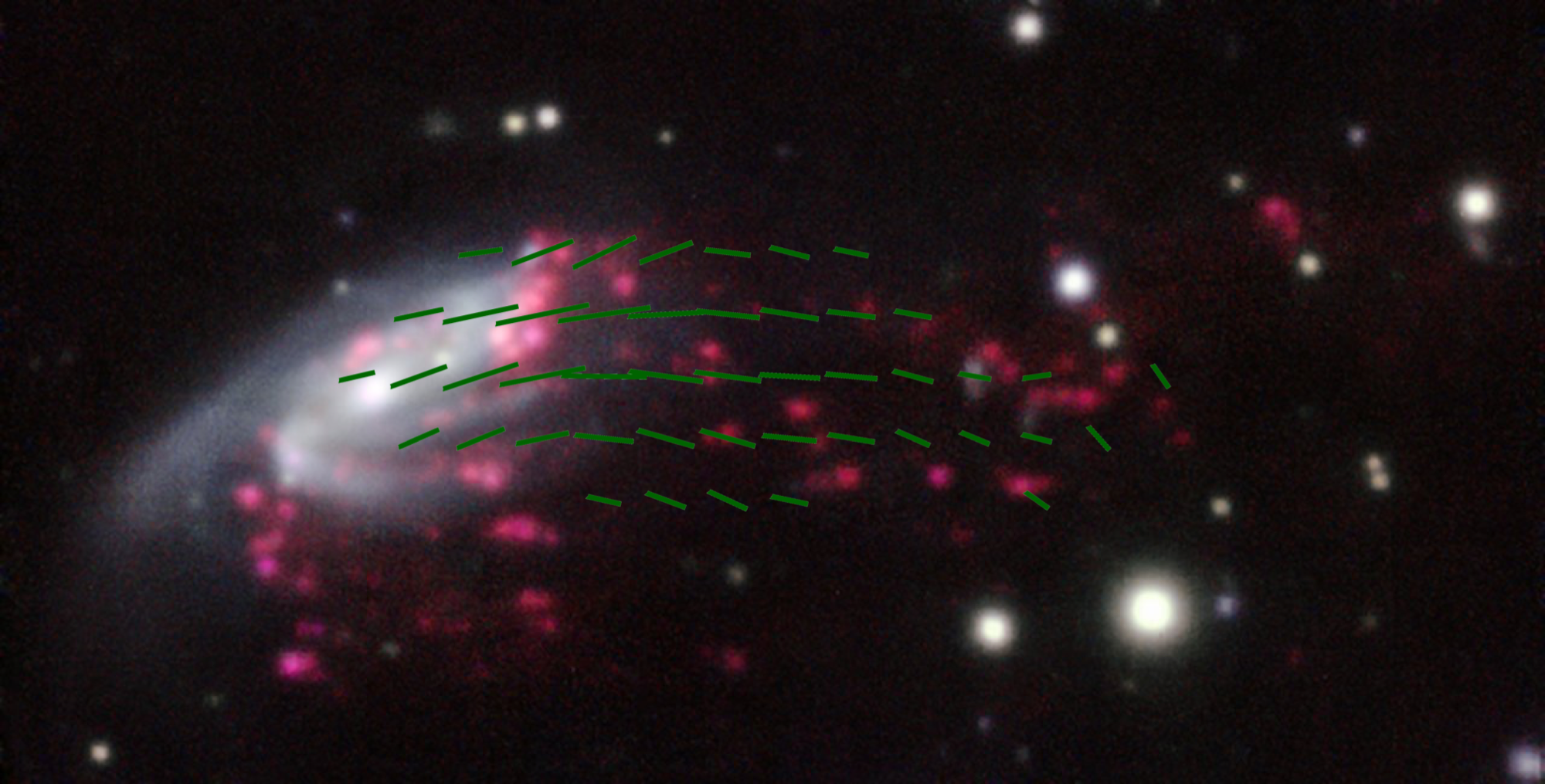 I tentacoli magnetici della galassia medusa JO206
