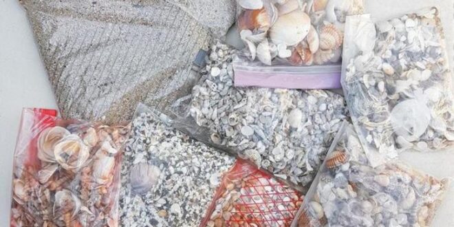Sabbia e conchiglie in valigia, multati turisti a Cagliari