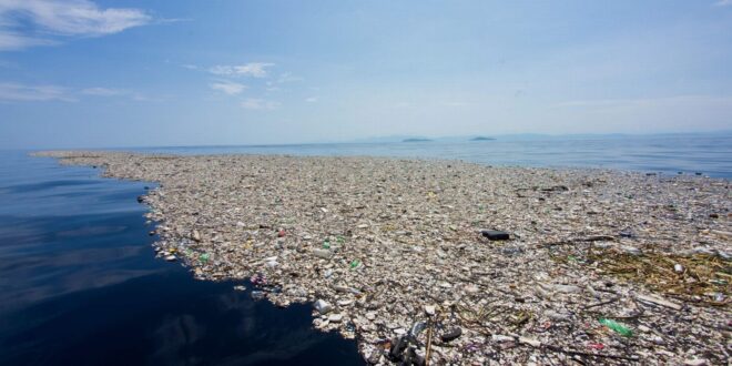 L’isola di rifiuti nel Pacifico