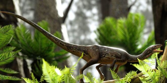 dinosauro Buriolestes schultzi