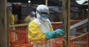 Reston ebolavirus