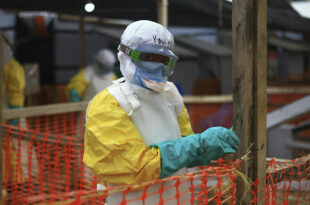 Reston ebolavirus