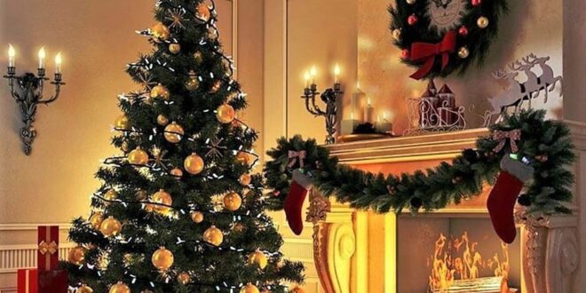 Natale: ecco i segreti per l’albero nelle prime feste anti-Covid