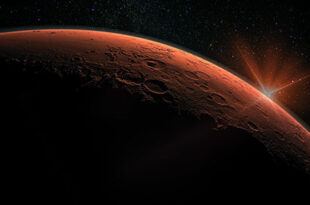 Musk: astronave con umani su Marte forse già entro il 2024