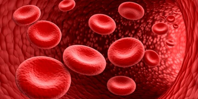 “BloodArtists”, campagna su talassemia e anemia falciforme