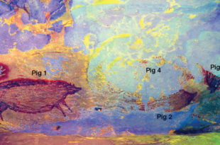 Pittura rupestre più antica trovata in Indonesia