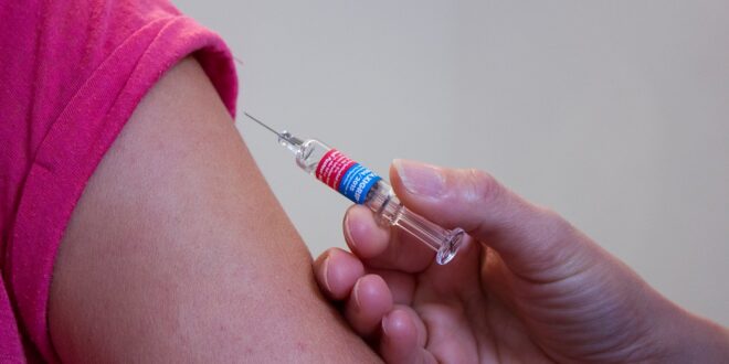 vaccino olbia