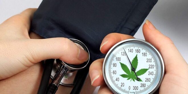cannabis can help high blood pressure 1