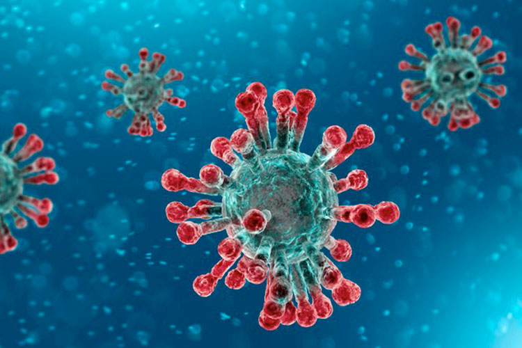 damiano galimberti coronavirus covid 19 Covid-19, anticorpi, medicina, virus, 