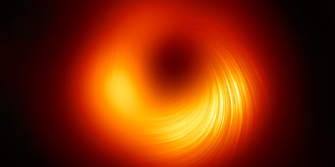 I campi magnetici di un buco nero