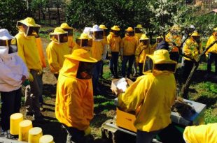corso apicoltori