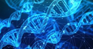 mappa genoma dna umano