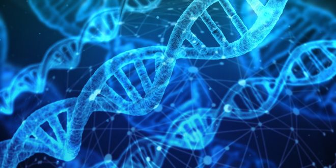 mappa genoma dna umano