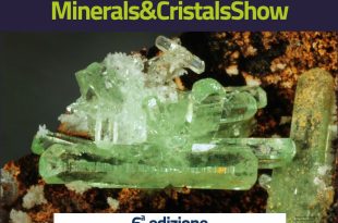mineral show 2