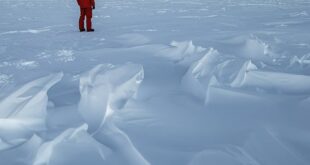 Marco Buttu Antartide