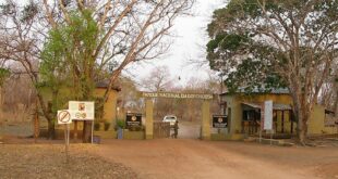 Gorongosa Park Gate