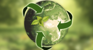 cosa significa sostenibilita