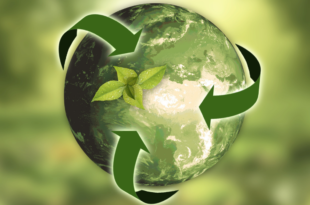 cosa significa sostenibilita