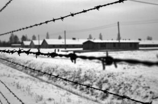 shoah campi di concentramento