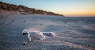 Plastica il consumo e destinato a raddoppiare entro il 2050