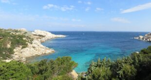 La natura della Sardegna contro il Parkinson