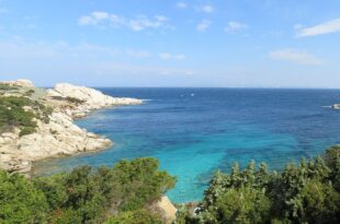 La natura della Sardegna contro il Parkinson