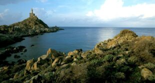 Parco Asinara