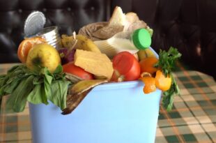 Gli sprechi alimentari Food waste unapp che ti aiuta a ridurli