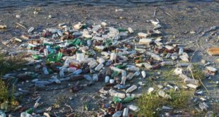 Inquinamento dovuto alle microplastiche in alcune aree del Pianeta