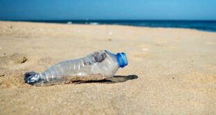sporcizia mare spiaggia plastica 2 2