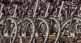 bicicletta elettrica ecologia bici